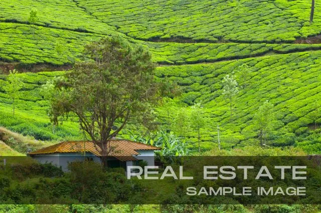 House for sale at near munnar,vellathooval panchayath.